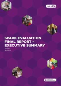 SPARK EVALUATION FINAL REPORT – EXECUTIVE SUMMARY April 2015  EXECUTIVE SUMMARY