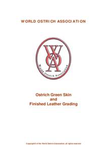 Microsoft Word - WOA Leather Grading.doc