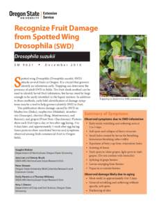 Recognize Fruit Damage from Spotted Wing Drosophila (Drosophila suzukii)