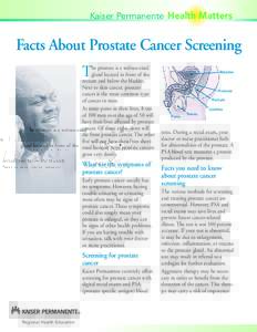 Kaiser Permanente Health Matters  Facts About Prostate Cancer Screening T  he prostate is a walnut-sized
