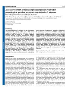 4975  Research article A conserved RNA-protein complex component involved in physiological germline apoptosis regulation in C. elegans