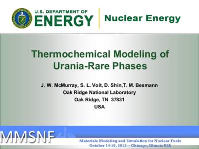 Thermochemical Modeling of Urania-Rare Phases