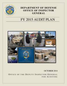 Deputy Inspector General for Auditing, Fiscal Year 2015 Audit Plan, Oct 6, 2014
