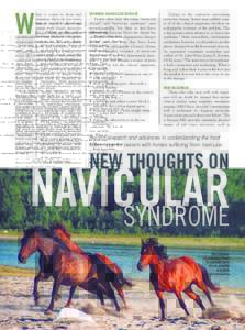 hen it comes to front end lameness, there are two words certain to fill any horse owner with dread: navicular disease. Such apprehension is understandable. Until recently, a diagnosis