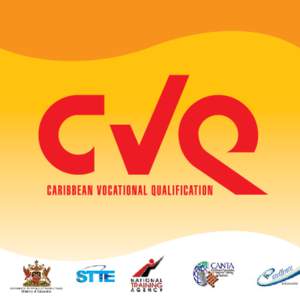 GOVERNMENT OF THE REPUBLIC OF TRINIDAD & TOBAGO  Ministry of Education contents CVQ In Schools