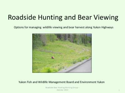 Roadside Hunting and Bear Viewing Options for managing wildlife viewing and bear harvest along Yukon Highways Yukon Fish and Wildlife Management Board and Environment Yukon Roadside Bear Hunting Working Group – October