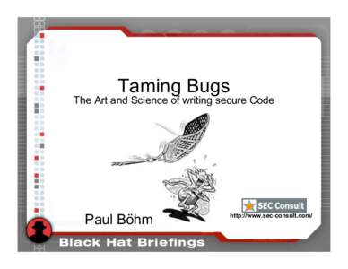 Taming Bugs  The Art and Science of writing secure Code Paul Böhm