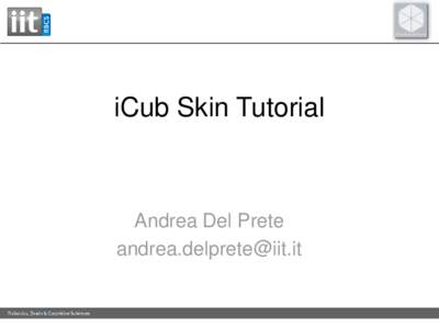 iCub Skin Tutorial  Andrea Del Prete   Basic Information
