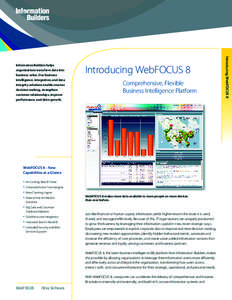 Introducing WebFOCUS 8 Comprehensive, Flexible Business Intelligence Platform WebFOCUS 8 – New Capabilities at a Glance