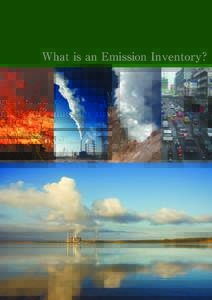 What is an Emission Inventory?  Roles of an emission inventory  Given the current rapid rate of economic development in East Asia and the degradation of air quality in the future likely to result from this, it becomes
