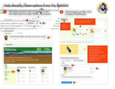 Help Identify Observations from the Bioblitz! 1 Visit iNaturalist.org & Search for the Project then click Observations to explore Bioblitz observations