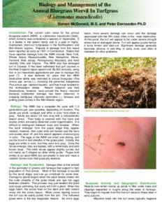 Biology and Management of the Annual Bluegrass Weevil In Turfgrass (Listronotus maculicolis) Steven McDonald, M.S. and Peter Dernoeden Ph.D Introduction The current Latin name for the annual bluegrass weevil (ABW) is Lis