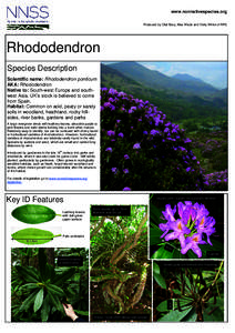 www.nonnativespecies.org Produced by Olaf Booy, Max Wade and Vicky White of RPS Rhododendron Species Description Scientific name: Rhododendron ponticum