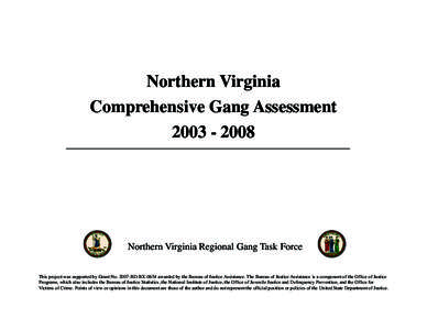 Northern Virginia Comprehensive Gang AssessmentNorthern Virginia Regional Gang Task Force This project was supported by Grant NoBD-BX-0654 awarded by the Bureau of Justice Assistance. The Bureau of Ju