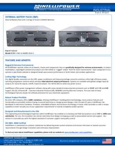 INDUSTRIAL Data Sheet EXTERNAL BATTERY PACK (EBP) External Battery Pack with 2 strings of 8 each 12V14Ah Batteries