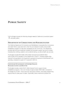 Public Safety  Public Safety T