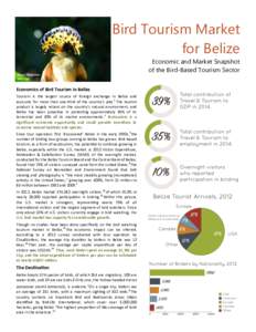 Bird Tourism Market for Belize Royal Flycatcher Dan Lipp  Economics of Bird Tourism in Belize