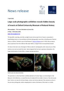 News release 7 April 2016 Large-scale photographic exhibition reveals hidden beauty of insects at Oxford University Museum of Natural History Microsculpture – The Insect Portraiture of Levon Biss