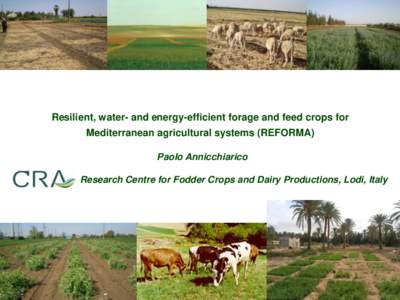 Resilient, water- and energy-efficient forage and feed crops for Mediterranean agricultural systems (REFORMA) Paolo Annicchiarico Research Centre for Fodder Crops and Dairy Productions, Lodi, Italy  Ecological services 