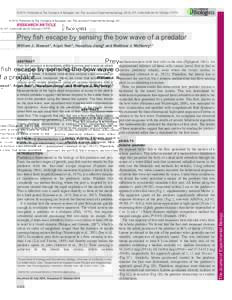 © 2014. Published by The Company of Biologists Ltd | The Journal of Experimental Biology, doi:jebRESEARCH ARTICLE Prey fish escape by sensing the bow wave of a predator