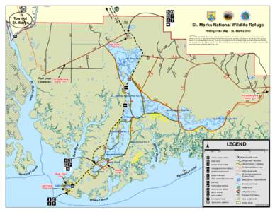 East River / Geography of Florida / Florida / St. Marks National Wildlife Refuge