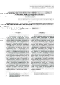 Agronomía Costarricense 41(1): ISSN:www.mag.go.cr/rev agr/index.html www.cia.ucr.ac.cr IDENTIFICACIÓN DE ESPECIES DEL GÉNERO Colletotrichum ASOCIADAS A LA ANTRACNOSIS EN PAPAYA (Carica papaya L