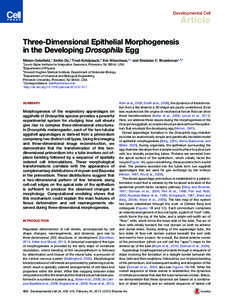Developmental Cell  Article Three-Dimensional Epithelial Morphogenesis in the Developing Drosophila Egg Miriam Osterfield,1 XinXin Du,2 Trudi Schu¨pbach,3 Eric Wieschaus,3,1 and Stanislav Y. Shvartsman1,4,*