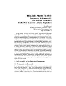 The Self-Made Puzzle: Integrating Self-Assembly and Pattern Formation Under Non-Random Genetic Regulation René Doursat Institut des Systèmes Complexes, CREA