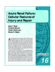 Acute Renal Failure: Cellular Features of Injury and Repair Kevin T. Bush Hiroyuki Sakurai Tatsuo Tsukamoto