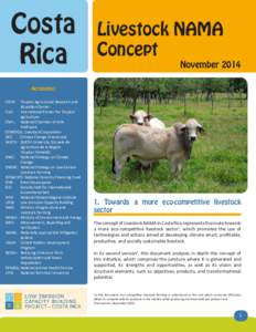 Costa Rica Livestock NAMA Concept