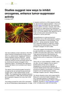 Studies suggest new ways to inhibit oncogenes, enhance tumor-suppressor activity