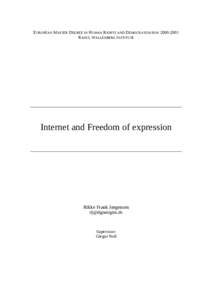 EUROPEAN MASTER DEGREE IN HUMAN RIGHTS AND DEMOCRATISATIONRAOUL WALLENBERG INSTITUTE Internet and Freedom of expression  Rikke Frank Jørgensen