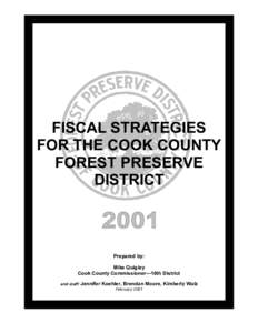 Microsoft Word - final FPD Fiscal Strategies.doc