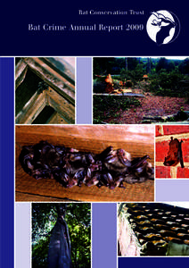 Bat Crime Annual Report 2009  Bat Crime Annual Report 2009 Since 2001 the Bat Conservation Trust (BCT) has been running the Investigations Project working to prevent bat crimes. The Bat Crime Annual Report 2009 follows 