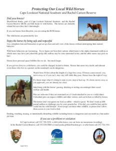 Protecting Our Local Wild Horses  Cape Lookout National Seashore and Rachel Carson Reserve Did you know? Shackleford Banks, part of Cape Lookout National Seashore, and the Rachel Carson Reserve (RCR) are both home to wil