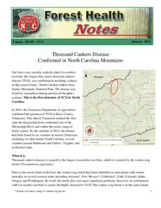 Volume[removed]TCD  January 2013 Thousand Cankers Disease Confirmed in North Carolina Mountains