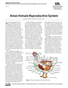COOPERATIVE EXTENSION SERVICE UNIVERSITY OF KENTUCKY COLLEGE OF AGRICULTURE, FOOD AND ENVIRONMENT, LEXINGTON, KY, 40546 ASC-201  Avian Female Reproductive System