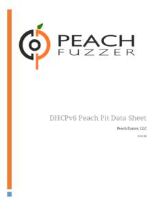 DHCPv6 Peach Pit Data Sheet Peach Fuzzer, LLC v3.6.94 Copyright © 2015 Peach Fuzzer, LLC. All rights reserved. This document may not be distributed or used for commercial purposes without