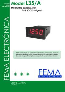 FEMA ELECTRÓNICA  MINIATURE METER FOR PROCESS