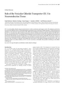 The Journal of Neuroscience, October 15, 2008 • 28(42):10587–10598 • [removed]Cellular/Molecular Role of the Vesicular Chloride Transporter ClC-3 in Neuroendocrine Tissue