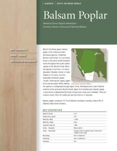 A l b e r ta  Fa c t s o n w o o d s e r i e s Balsam Poplar Botanical Name: Populus balsamifera