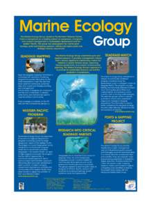 Marine Ecology The Marine Ecology Group, based at the Northern Fisheries Centre, Cairns is recognised as a leading advisor on seagrasses, mangroves and coastal management in northeastern Queensland and the western Pacifi
