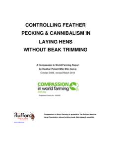 CONTROLLING FEATHER PECKING & CANNIBALISM IN LAYING HENS WITHOUT BEAK TRIMMING A Compassion in World Farming Report by Heather Pickett MSc BSc (hons)