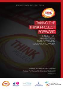 EThnic Youth Support Team  Taking The Think Project Forward The need for