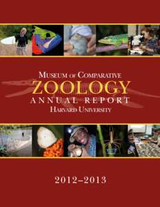 Museum of Comparative  Zoology Annual Report Harvard University
