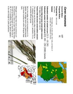 Carex roanensis Current Status Proposed Status UEF PE