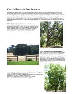 Flora of the United States / Quercus lobata / Pruning / Chico /  California / Juglans / Hooker Oak / Oak wilt / Ornamental trees / Botany / Flora of North America