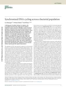 letters  Synchronized DNA cycling across a bacterial population © 2017 Nature America, Inc., part of Springer Nature. All rights reserved.  Leo Baumgart1,2, William Mather3,5 & Jeff Hasty1,2,4,5