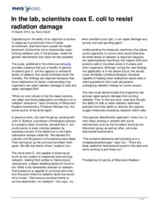 In the lab, scientists coax E. coli to resist radiation damage