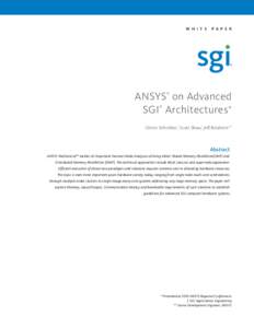 W h i t e  P A P e r ANSYS on Advanced SGI Architectures*